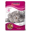 Super Benek kot Adult Mix Saszetka 24 x 100 g