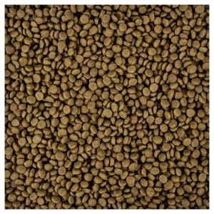 Sucha karma dla kota Tropicat Adult 2 kg