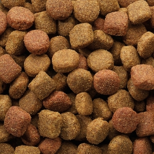 Karma sucha Versele Laga Classic Duo Krok 20 kg + puszki