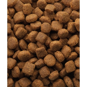 Karma sucha Versele Laga Classic Lamb & Rice 20 kg