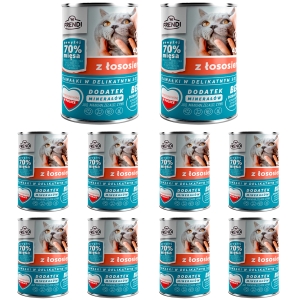 Kawałki dla kota w delikatnym sosie z łososiem, 400g x 10 szt